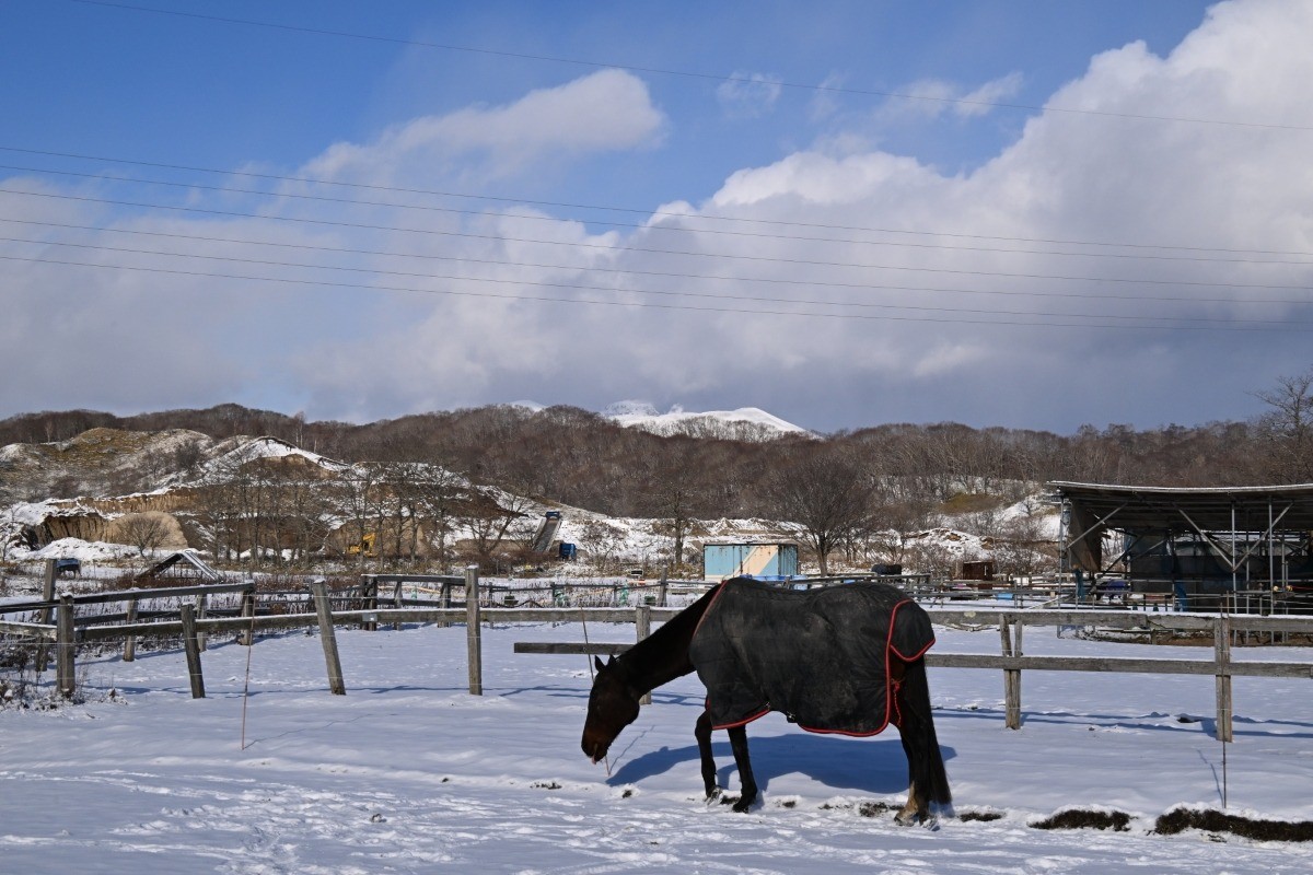 c0dee197e182664687397ff91eb4e9c1-1765911420.jpg c0dee197e182664687397ff91eb4e9c1-1765911420.jpg